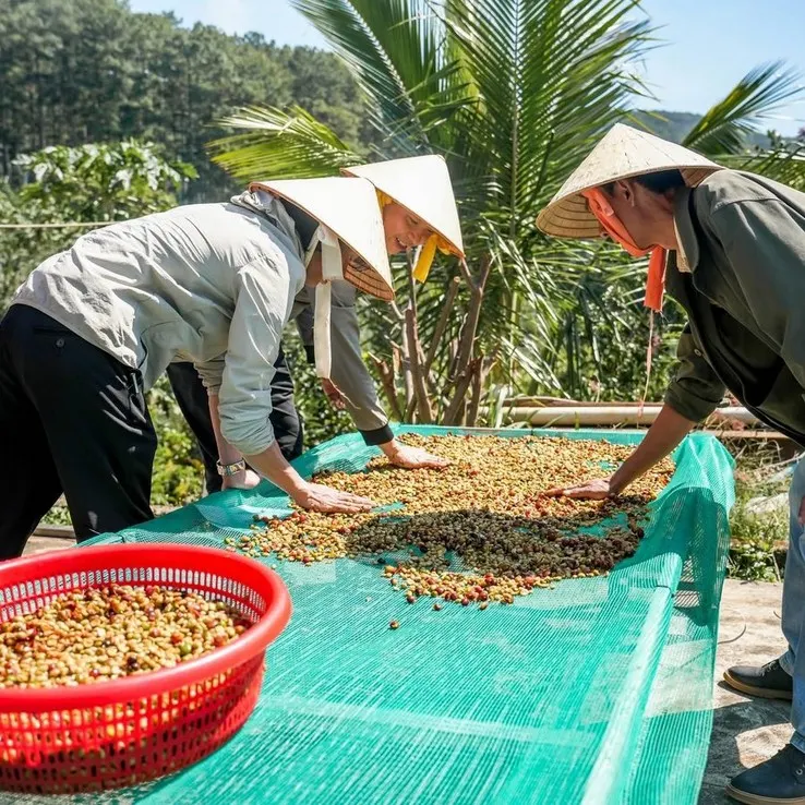 Nhặt tay trên giàn phơi
